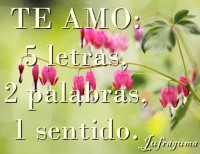 /album/fotogaleria/te-amo-jpg/